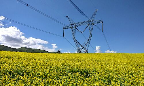 Online Launch: EASAC Commentary “Energy System Integration”, 16 April 2026, 15:00 CEST.