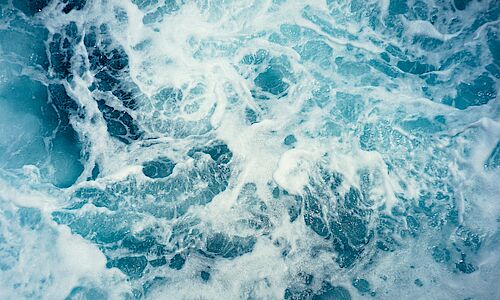 Photo credit: Christoffer Engstrom.